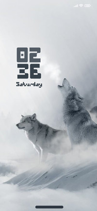 Wolf in Ice