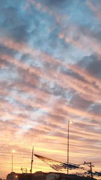 landing-0524