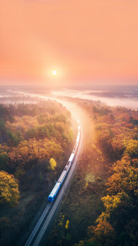 Train in beautiful forest in fog at sunrise in autumn