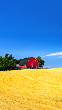 Farm House in a Farm Field