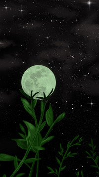 谁的梦-辰宇文创