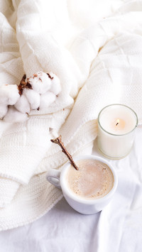 What is the difference between pure cotton and cotton