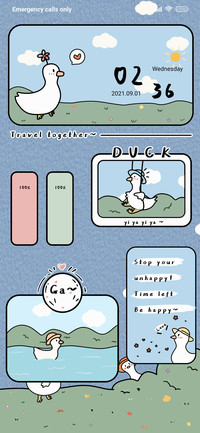Sunshine Duck