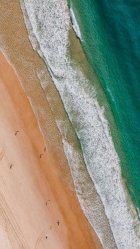 The golden yellow of the beach is not innate