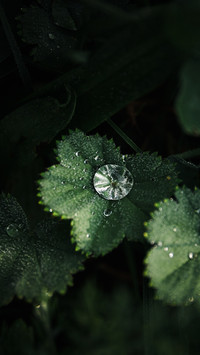 节气：谷雨