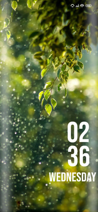 Rain