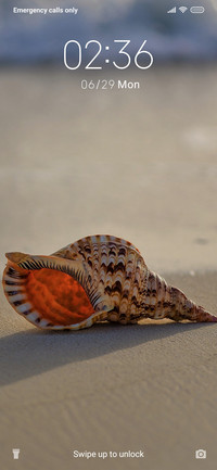 Seashell_3MDS