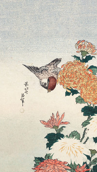 日本花鸟绘的东方诗意
