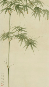 梅兰竹菊