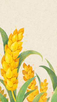 Grain in ear