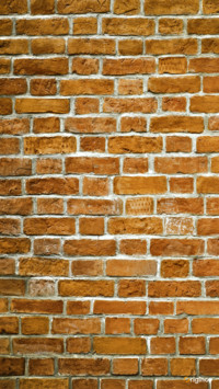 texture (4)