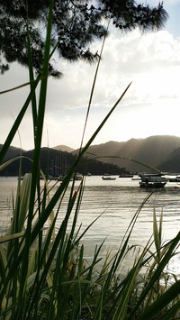 landing-0893