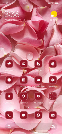 Fresh Petals