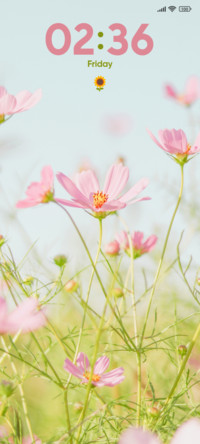 Pink Flower