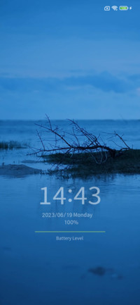 Sea  Lone Branches