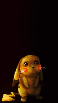 pokemon2
