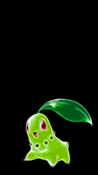 pokemon17