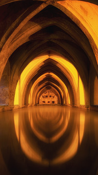 Seville must go to scenic spots 65