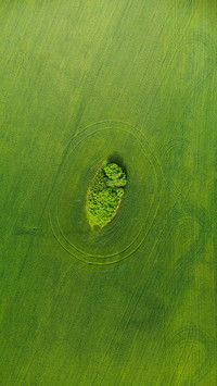 Beauty Green Field Farm