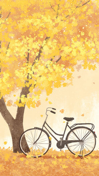 Illustration 3