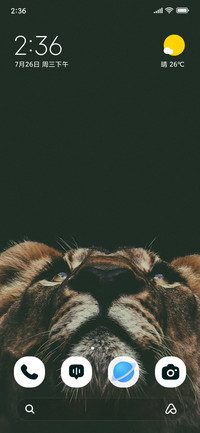 Lion Gaze