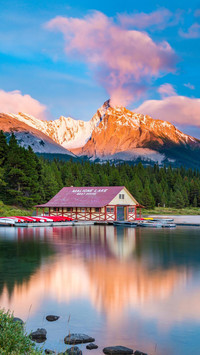 邂逅自然美景
