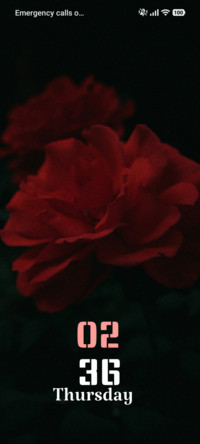 Rose Harmony