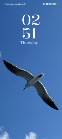 Sky Seagull