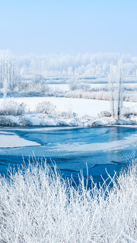 Winter snow viewing highlights