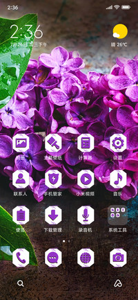 Lilac flower_3MDS