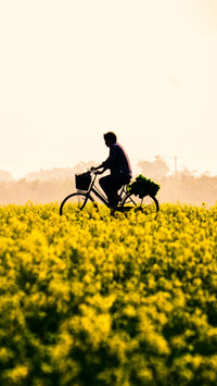 Working in the fields