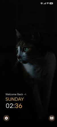 Dark Gaze