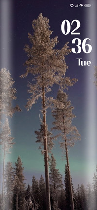 Pines
