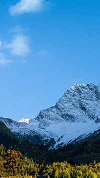 Colorful forests embrace snowcapped mountains