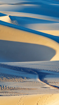 Desert Light and Shadow