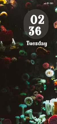 Aquarium