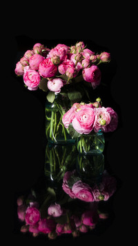 Roses You May Not Know 7