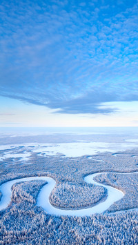 Aerial view of forest river during winter day