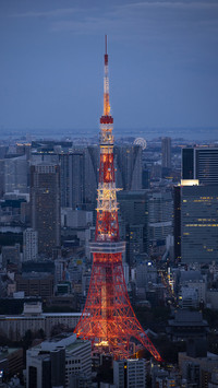 Famous tourist destination Tokyo Tower 8