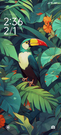 Headed Toucan