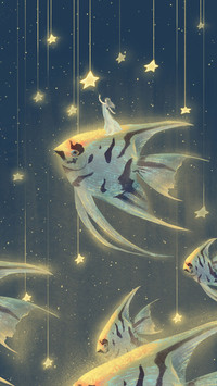 Show you the brightest star