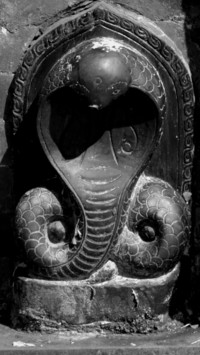 Naga Panchami (7)