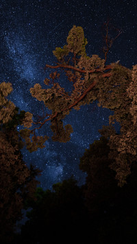 星夜茫茫