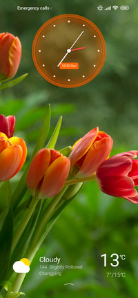 Flowers Dream