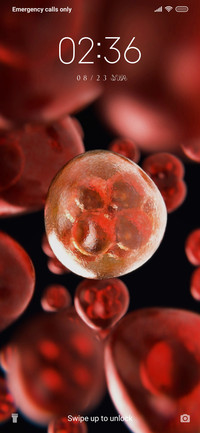 Human Cells_3MDS