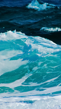 113009_1440x2560.jpg