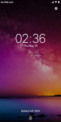 Android Q Notch_DWM19
