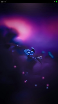 最美夜空
