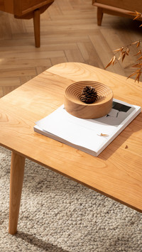 Solid wood furniture beloved by chinese people 4