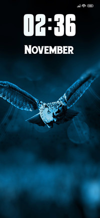 Owl Hunter